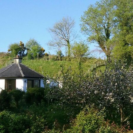 Drombrow Cottage Bantry Exteriér fotografie